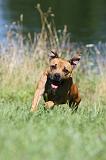 STAFFIE 073